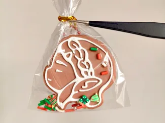 zelda&link塞尔达林克仿姜饼