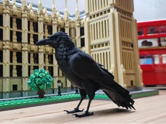 Preeing Raven