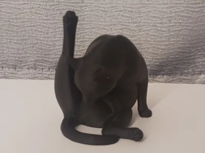 Cat Licking with Paw Up