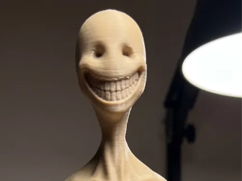 https://makerworld.bblmw.com/makerworld/model/US2850b498405a7a/design/32081e49c4a9e15c.png