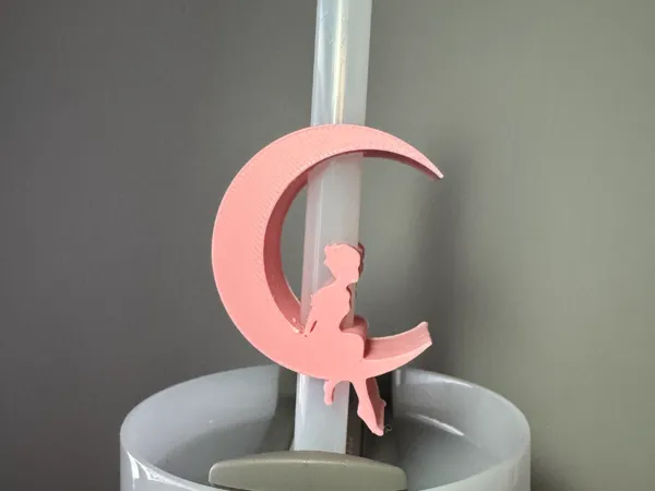 https://makerworld.bblmw.com/makerworld/model/US285712301c502d/design/2025-03-01_f1bfbc6d3957f.jpg