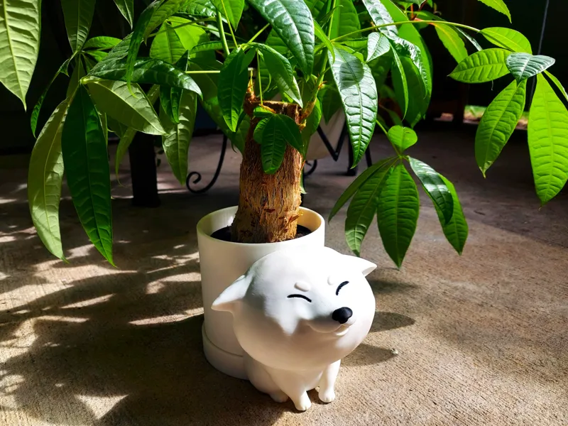 Happy Cartoon Shiba Inu Planter Pot Doge Puppy Dog