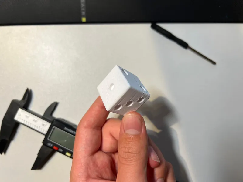 Large Dice