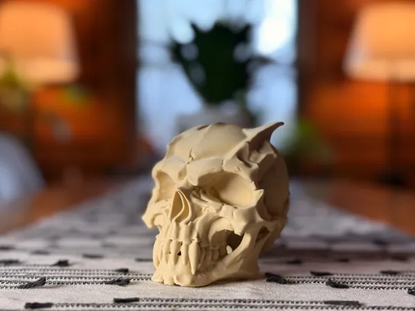 https://makerworld.bblmw.com/makerworld/model/US285ff641cf8f75/design/2025-03-31_61ca969b046548.jpg