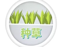 草一棵