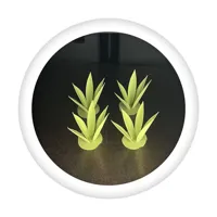 草四棵