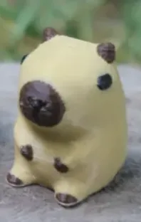 12 capybaras