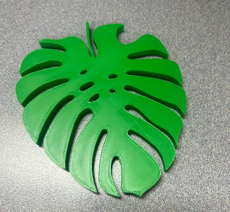 Plant Leaf coaster - Monstera