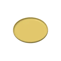 Frisbee — photo 4