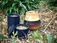 Three pods
