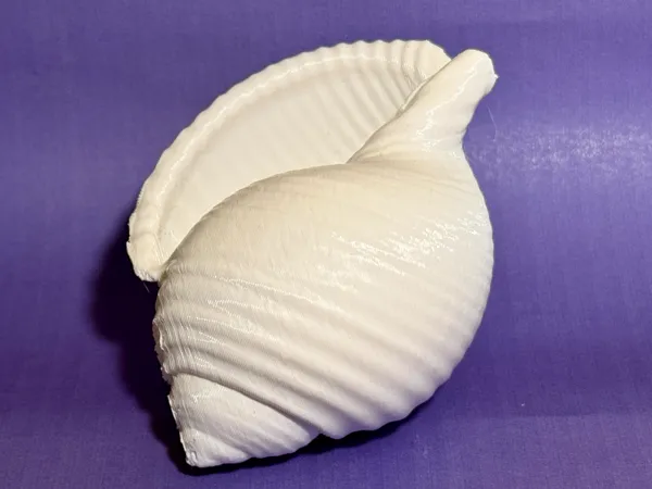 https://makerworld.bblmw.com/makerworld/model/US286efa1623dfdc/design/2025-02-16_139974abdfd35.jpg