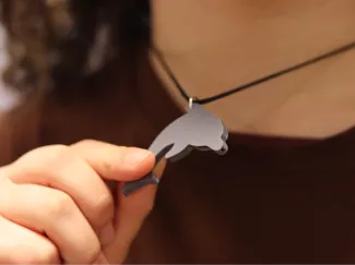 Dolphin Shaped Whistle