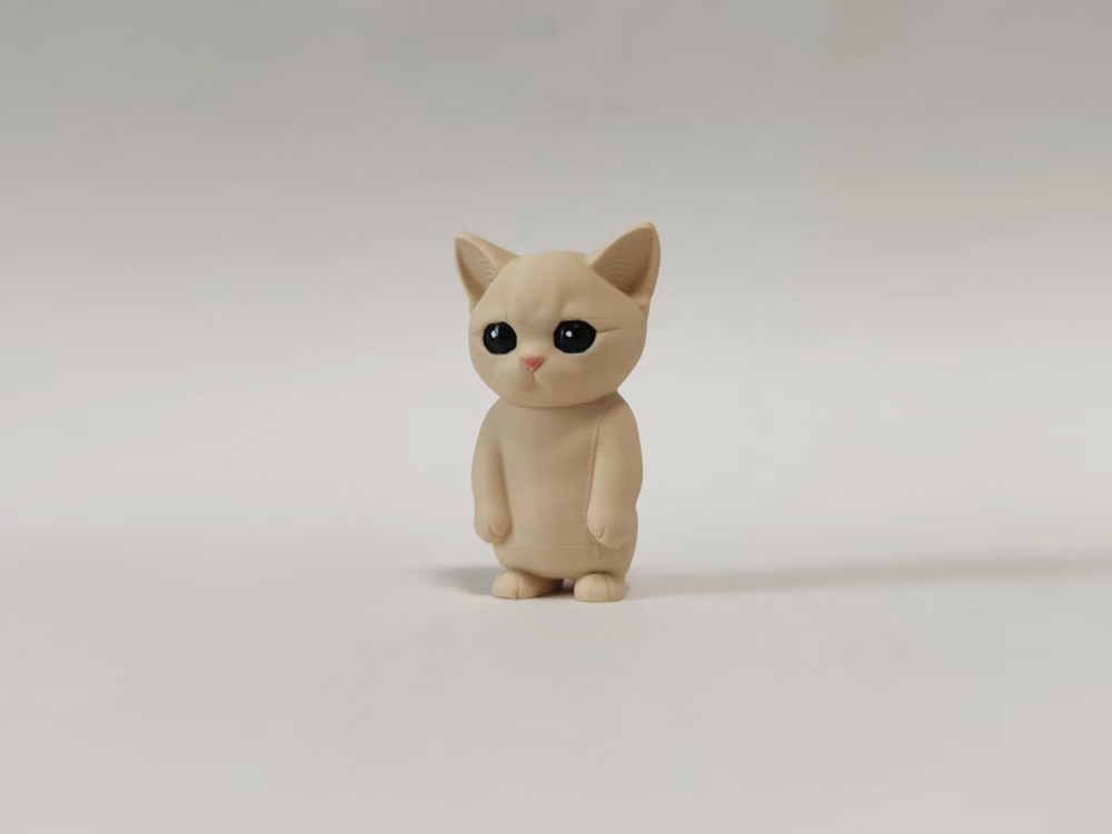 猫咪 罚站