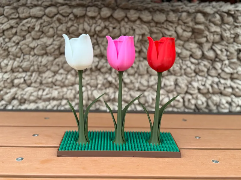 Tulips (3) Base with Grass