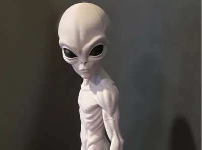 THEM 1947 Disclosure Alien Greys THE WATCHER