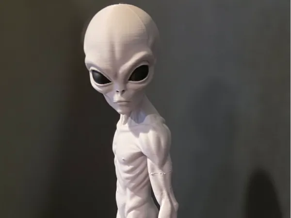 https://makerworld.bblmw.com/makerworld/model/US28798c7128d989/design/a114cd741f70922e.jpg