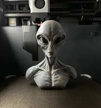 2 Color | 15cm | PLA |0.15mm layer | 2 walls | 7% infill |
