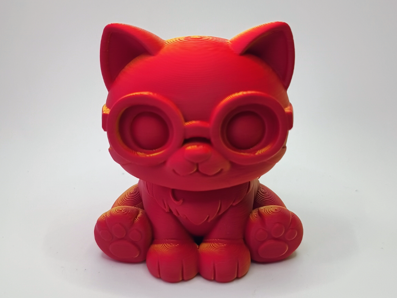 Nerd Katze der kleine Brillenboss