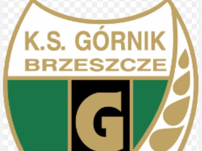 KS gornik brzeszcze bryloczek