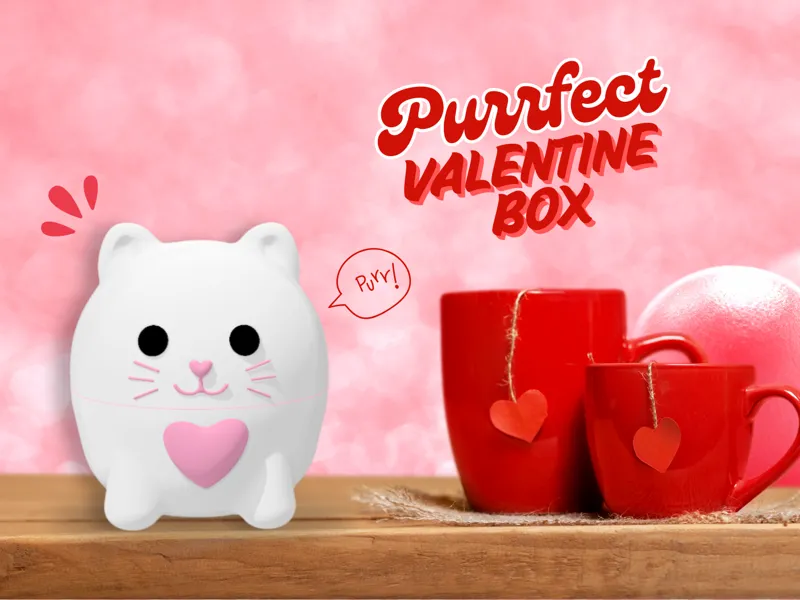Purrfect Valentine Box