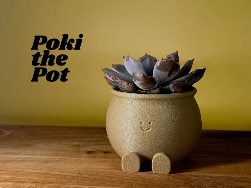 Poki the Pot - The happy cactus and succulent pot