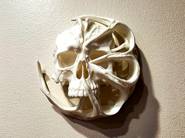 https://makerworld.bblmw.com/makerworld/model/US28855dc127b87/design/d75f88fa733e8e56.jpg