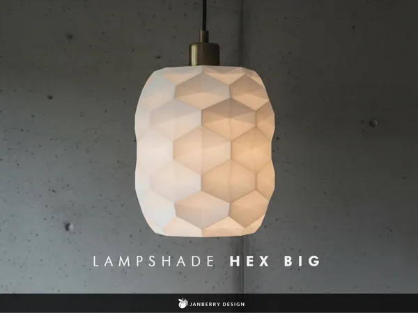 https://makerworld.bblmw.com/makerworld/model/US288e4f43b8ab5c/design/2026-01-19_0384c8d3ffb8b8.png
