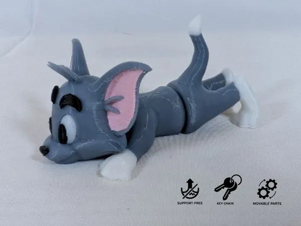 https://makerworld.bblmw.com/makerworld/model/US289c18623a1513/design/63890d0760900670.png