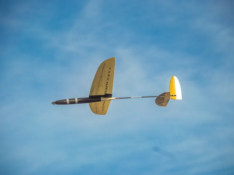 High Performance RC Glider, F5k, e-DLG Style, 1.5m