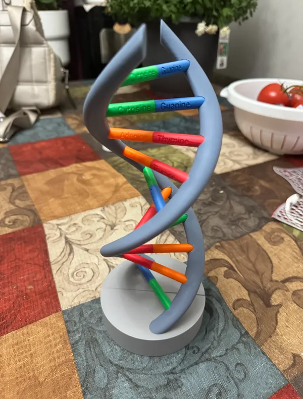 https://makerworld.bblmw.com/makerworld/model/US289f6cd57b5914/design/2024-10-14_0c74ac71d2ca9.jpeg