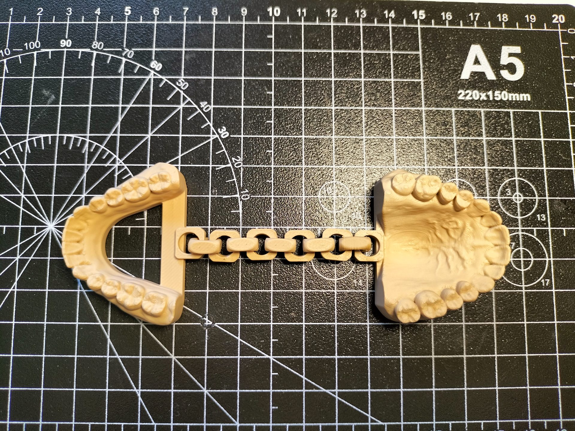 Schlüsselanhänger Gebiss/ Chain Jaws 