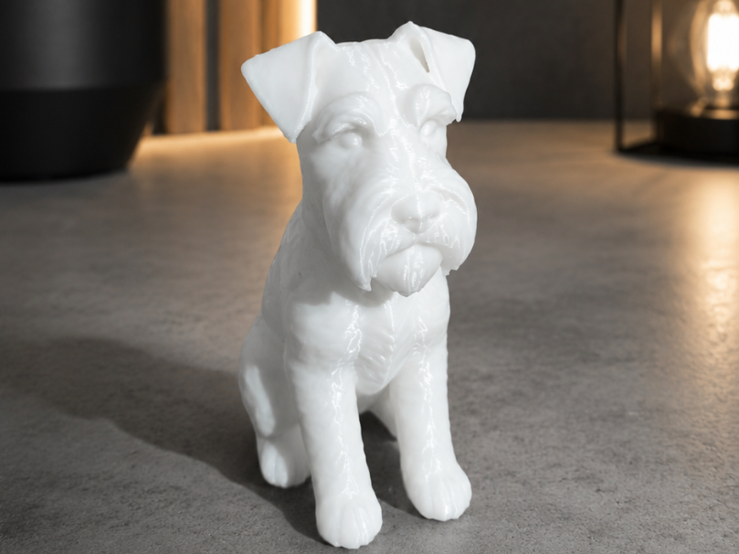 Schnauzer dog
