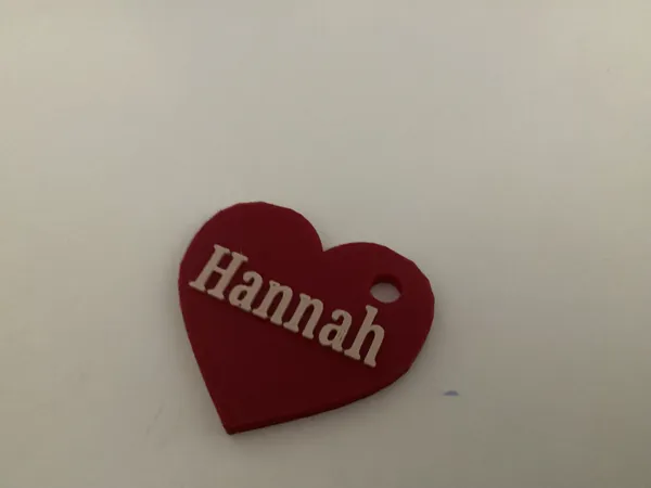 https://makerworld.bblmw.com/makerworld/model/US28afa24e938b0e/design/2026-01-14_876850c665fd1.jpg