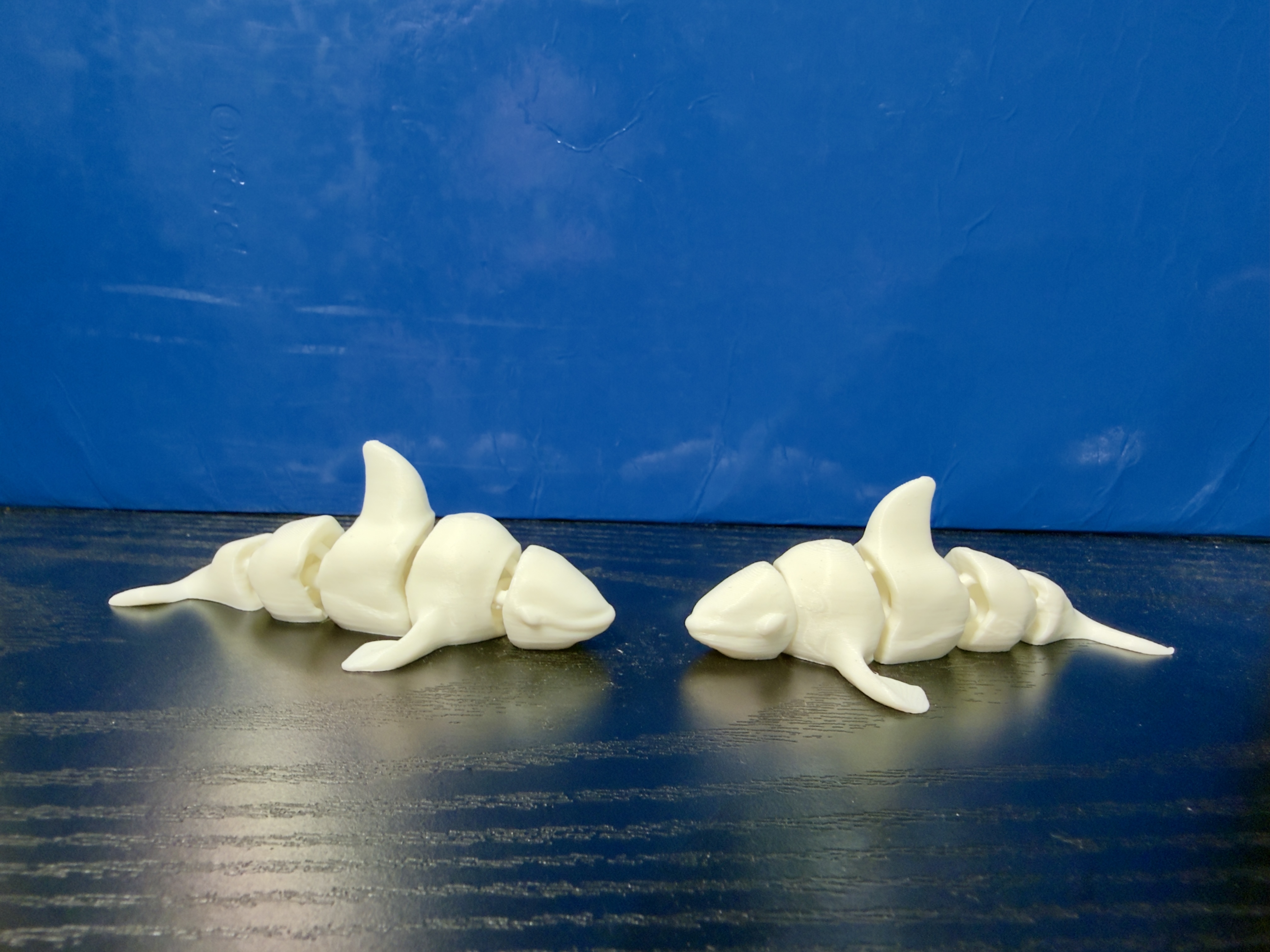 Miniatura 2 do modelo 3D Flexy Orca