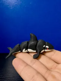 Orca Black Eyes Multicolor Print Profile
