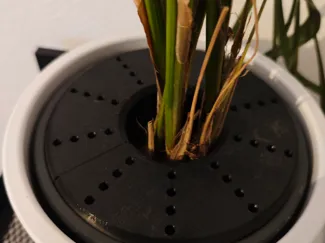 Blumentopf Gitter