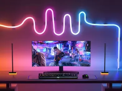 Neon LED Strip mount 