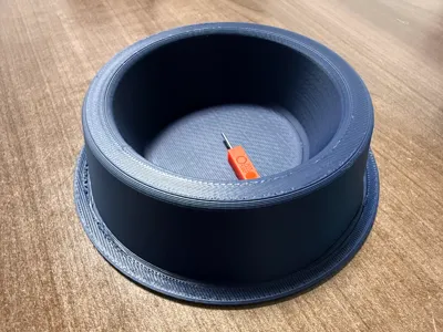 Dog Bowl / catch all tray