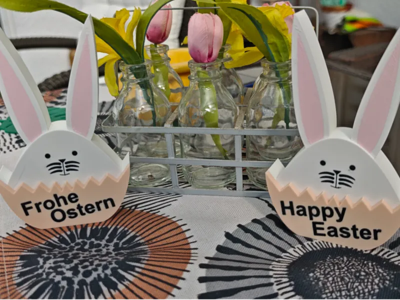 Easter bunny in egg / Osterhase im Ei