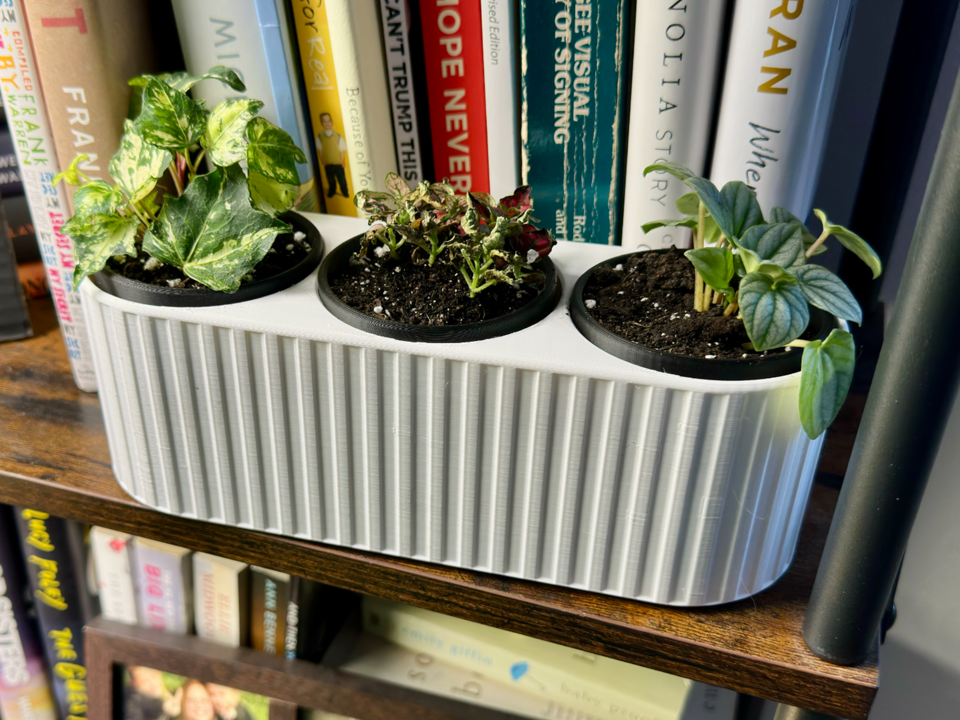 3-Pot Modular Planter with Removable Inserts