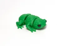 Frog Multicolor