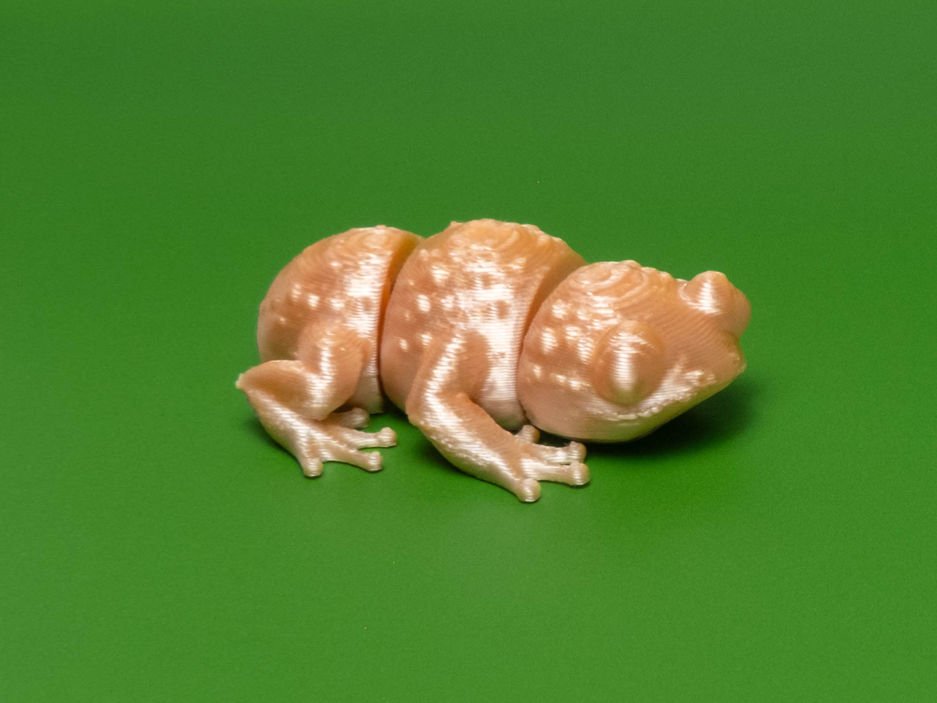 Miniatura 2 do modelo 3D Mini Frog