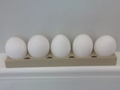 Egg Tray: holds 5 eggs for your fridge (half size)