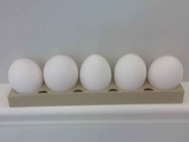 Egg Tray: holds 5 eggs for your fridge (half size)