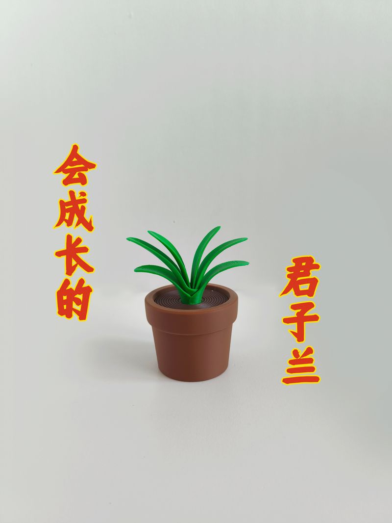 【二门】【NO AMS】不同生长阶段的君子兰摆件|桌面小收纳盒