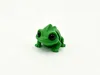 6g Chameleon Dual Color