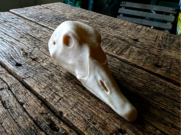 https://makerworld.bblmw.com/makerworld/model/US28ce9faadec3f8/design/474716a5a9af051c.jpg