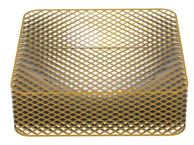 See Through Mesh Bowl