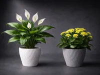 Pot de fleurs évasé — photo 1