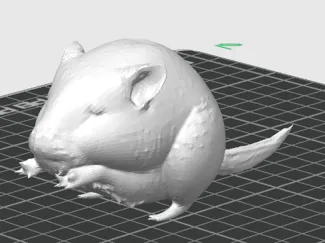 I made this mouse looking thing.